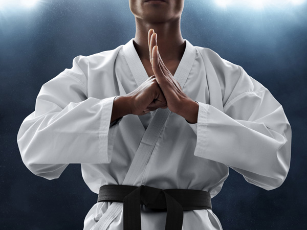 mass academy Karate